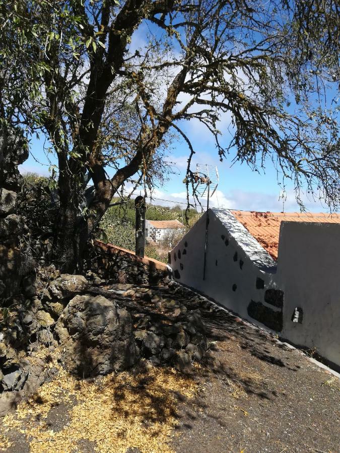Casa Los Almendros ξενώνας Isora Εξωτερικό φωτογραφία